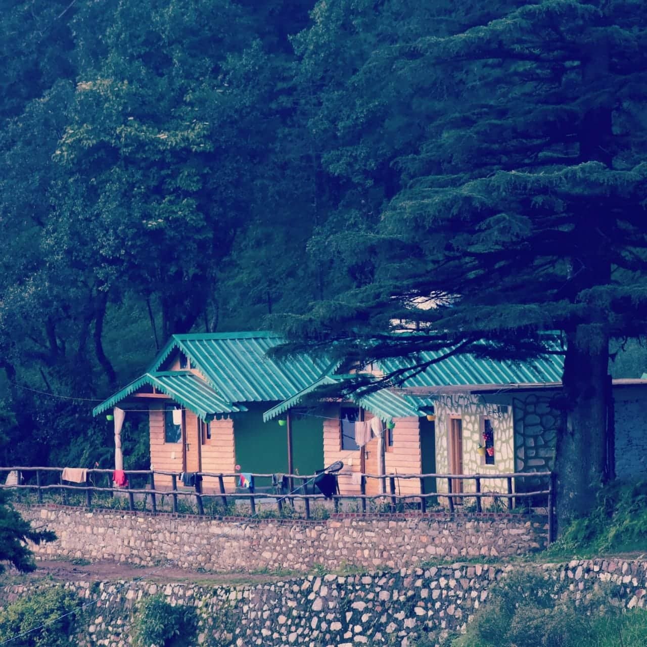 Bluepine cottage Ghughukham pangot — thumbnail 4