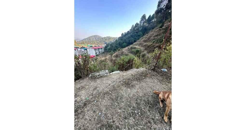 Land For Sale Near Bhowali — thumbnail 4